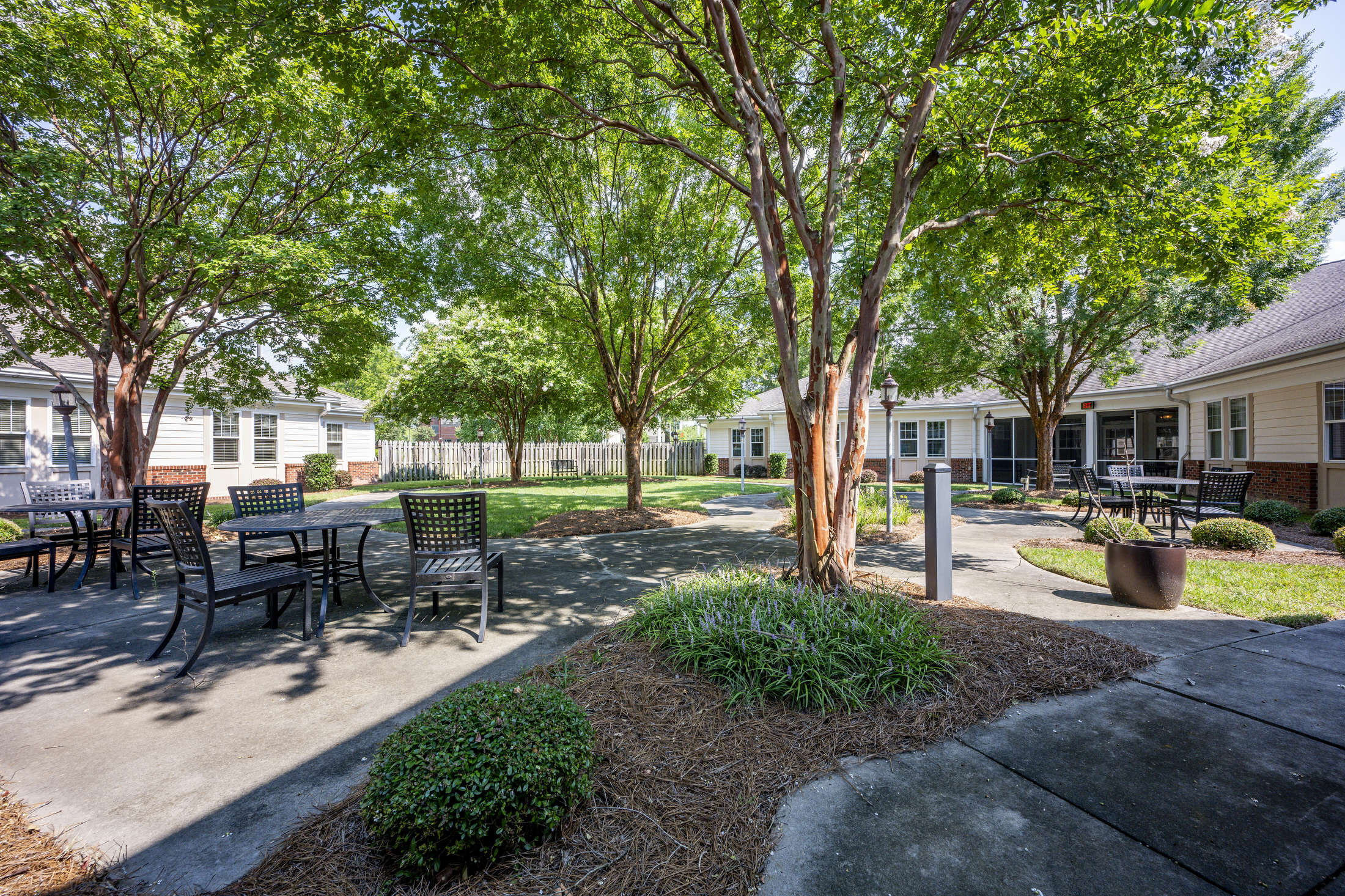ignite medical resorts landscape north carolina